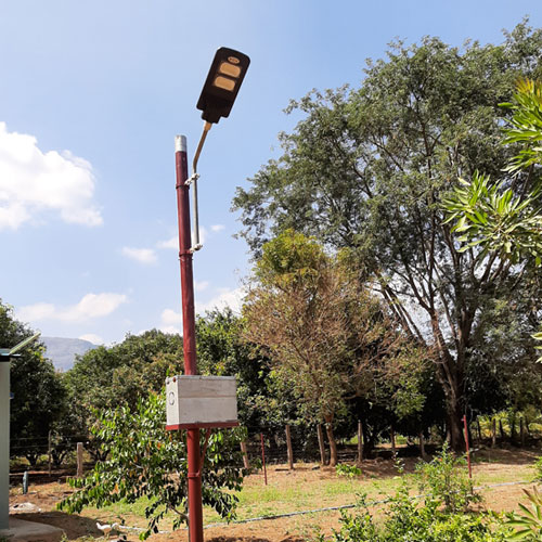 Solar Street Light